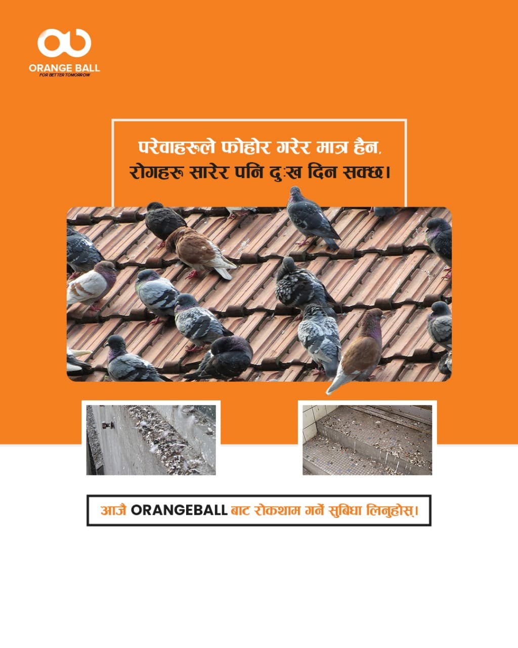 Pegion Control Service